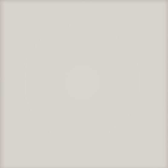 Faianta Pastel Light Grey MAT 20x20