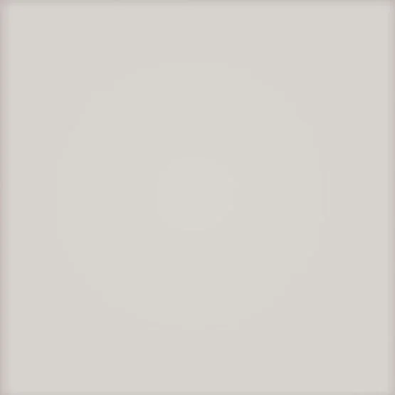 Faianta Pastel Light Grey MAT 20x20