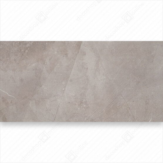 Faianta Muse Silver 59,8x29,8