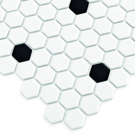 Mini Hexagon BW Spot profil scaled 1