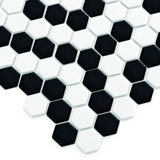 Mini Hexagon Coral profil scaled 1
