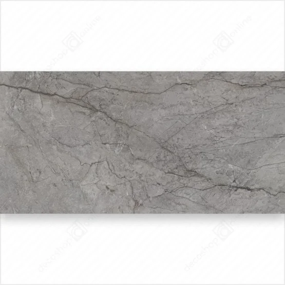 Gresie Visioner Grey 60x120