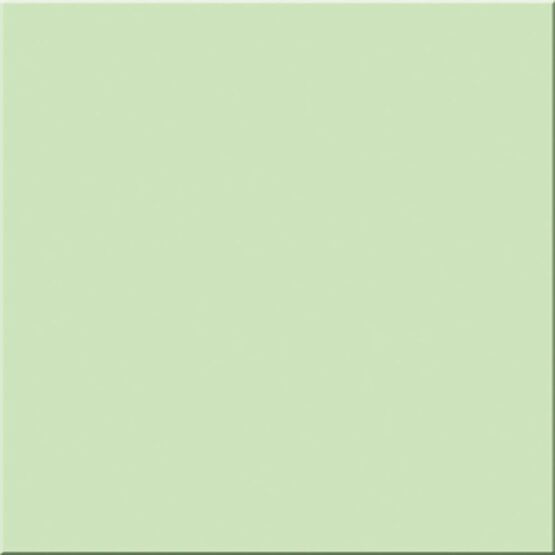 Faianta Pastel Mint MAT 20×20